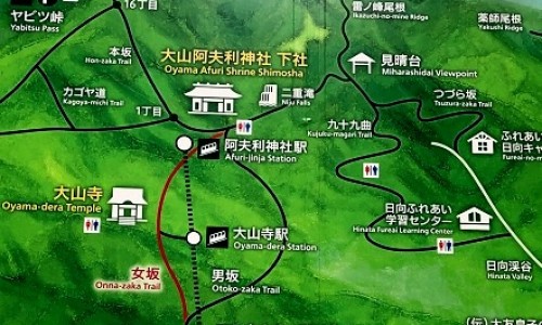 山药皮有药用价值吗-山药皮药用价值网 - 为你提供山药皮弄到手上非常痒怎么办、山药皮有营养价值吗